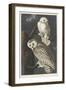 Snowy Owl, 1831-John James Audubon-Framed Premium Giclee Print