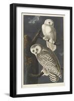 Snowy Owl, 1831-John James Audubon-Framed Premium Giclee Print