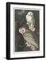 Snowy Owl, 1831-John James Audubon-Framed Premium Giclee Print