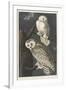 Snowy Owl, 1831-John James Audubon-Framed Giclee Print