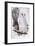 Snowy Owl, 1832-1837-Edward Lear-Framed Giclee Print