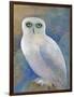 Snowy Owl 1-Oxana Zaika-Framed Premium Giclee Print