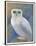 Snowy Owl 1-Oxana Zaika-Framed Premium Giclee Print