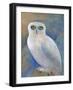 Snowy Owl 1-Oxana Zaika-Framed Giclee Print