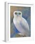 Snowy Owl 1-Oxana Zaika-Framed Giclee Print