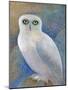 Snowy Owl 1-Oxana Zaika-Mounted Giclee Print