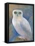 Snowy Owl 1-Oxana Zaika-Framed Stretched Canvas