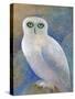 Snowy Owl 1-Oxana Zaika-Stretched Canvas