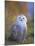 Snowy Owl, Alaska, USA-David Tipling-Mounted Photographic Print