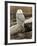 Snowy Owl, Boundary Bay, British Columbia, Canada-Rick A. Brown-Framed Photographic Print