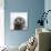 Snowy Owl (Bubo Scandiacus) Fledgling Portrait, Wrangel Island, Far Eastern Russia, August-Sergey Gorshkov-Photographic Print displayed on a wall