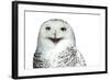 Snowy Owl (Bubo Scandiacus) Smiling And Laughing Isolated On White-l i g h t p o e t-Framed Photographic Print