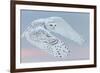 Snowy owl female in flight, Canada-Markus Varesvuo-Framed Photographic Print