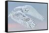 Snowy owl female in flight, Canada-Markus Varesvuo-Framed Stretched Canvas