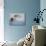 Snowy Owl in Flight-Tom Middleton-Stretched Canvas displayed on a wall