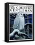 "Snowy Owl in Forest at Night," Country Gentleman Cover, January 12, 1924-Paul Bransom-Framed Stretched Canvas