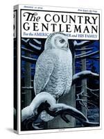 "Snowy Owl in Forest at Night," Country Gentleman Cover, January 12, 1924-Paul Bransom-Stretched Canvas