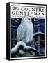 "Snowy Owl in Forest at Night," Country Gentleman Cover, January 12, 1924-Paul Bransom-Framed Stretched Canvas