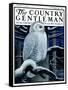 "Snowy Owl in Forest at Night," Country Gentleman Cover, January 12, 1924-Paul Bransom-Framed Stretched Canvas