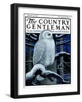 "Snowy Owl in Forest at Night," Country Gentleman Cover, January 12, 1924-Paul Bransom-Framed Giclee Print