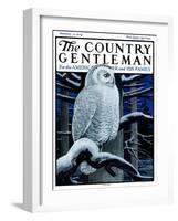 "Snowy Owl in Forest at Night," Country Gentleman Cover, January 12, 1924-Paul Bransom-Framed Giclee Print