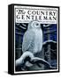 "Snowy Owl in Forest at Night," Country Gentleman Cover, January 12, 1924-Paul Bransom-Framed Stretched Canvas