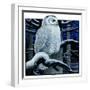 "Snowy Owl in Forest at Night,"January 12, 1924-Paul Bransom-Framed Premium Giclee Print