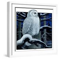 "Snowy Owl in Forest at Night,"January 12, 1924-Paul Bransom-Framed Giclee Print