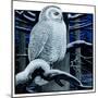 "Snowy Owl in Forest at Night,"January 12, 1924-Paul Bransom-Mounted Giclee Print