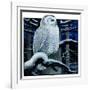 "Snowy Owl in Forest at Night,"January 12, 1924-Paul Bransom-Framed Giclee Print