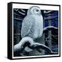 "Snowy Owl in Forest at Night,"January 12, 1924-Paul Bransom-Framed Stretched Canvas