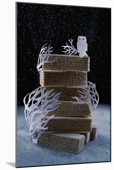 Snowy Owl (Powdered Sugar)-Dina Belenko-Mounted Giclee Print