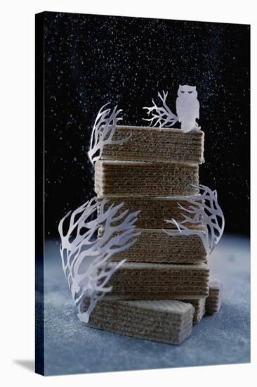 Snowy Owl (Powdered Sugar)-Dina Belenko-Stretched Canvas