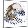 Snowy Owl T-Shirt Graphics, Snowy Owl Illustration with Splash Watercolor Textured Background.-Dabrynina Alena-Mounted Art Print