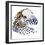 Snowy Owl T-Shirt Graphics, Snowy Owl Illustration with Splash Watercolor Textured Background.-Dabrynina Alena-Framed Art Print