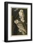 Snowy Owl-John James Audubon-Framed Giclee Print