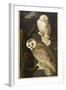 Snowy Owl-John James Audubon-Framed Giclee Print