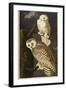 Snowy Owl-John James Audubon-Framed Giclee Print