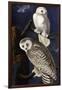 Snowy Owl-John James Audubon-Framed Photographic Print