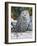 Snowy Owl-William Vanderdasson-Framed Giclee Print