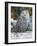 Snowy Owl-William Vanderdasson-Framed Giclee Print