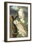 Snowy Owl-John James Audubon-Framed Art Print