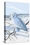 Snowy Owl-Lantern Press-Stretched Canvas