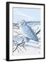 Snowy Owl-Lantern Press-Framed Art Print