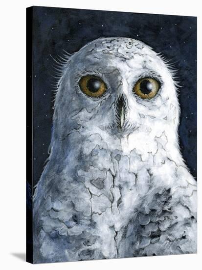 Snowy Owl-Jamin Still-Stretched Canvas