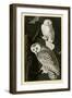 Snowy Owl-null-Framed Giclee Print