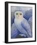 Snowy Owl-Oxana Zaika-Framed Giclee Print