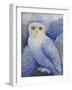 Snowy Owl-Oxana Zaika-Framed Giclee Print