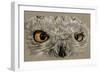 Snowy Owl-Barbara Keith-Framed Giclee Print