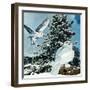 "Snowy Owls", September 14, 1957-D. Bleitz-Framed Giclee Print